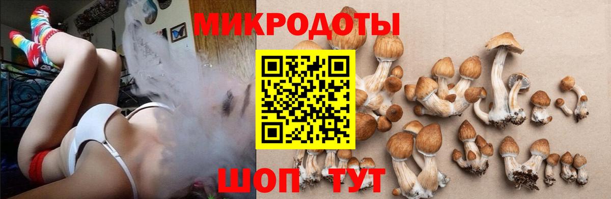 Азов  сколько стоит  Вход с VPN  Галлюциногенные грибы ЛСД 