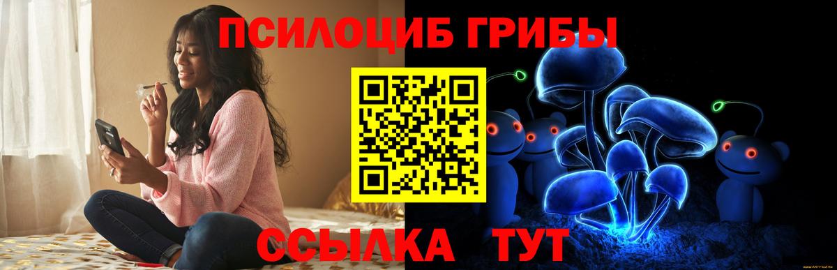 Галлюциногенные грибы GOLDEN TEACHER Азов